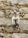 2017-09-28 12-14-44 La Roche Bernard FGn